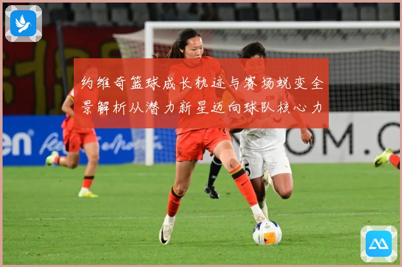 约维奇篮球成长轨迹与赛场蜕变全景解析从潜力新星迈向球队核心力量之路