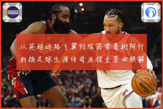 从英超边路飞翼到绿茵常青树阿什利扬足球生涯传奇历程全景回顾解析