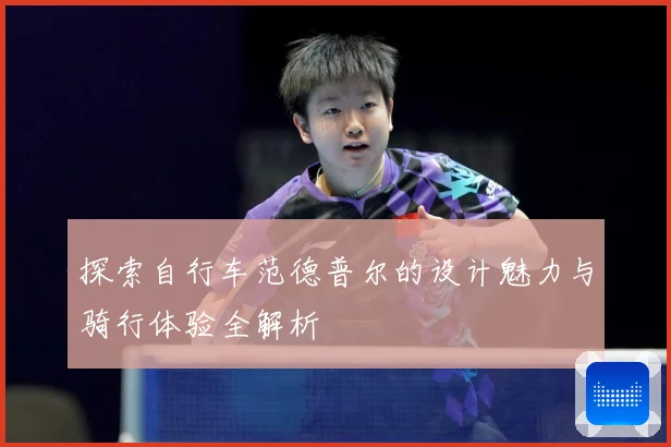 探索自行车范德普尔的设计魅力与骑行体验全解析